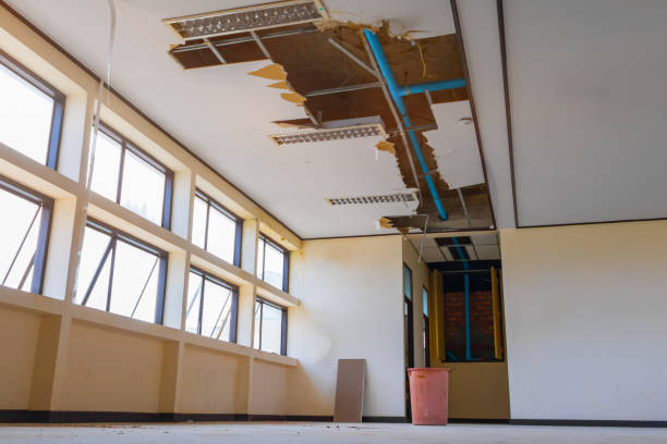 Best 24-hour water damage restoration  in Knoxvle, IL