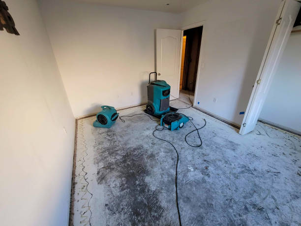 Best Water damage cleanup near me  in Knoxvle, IL