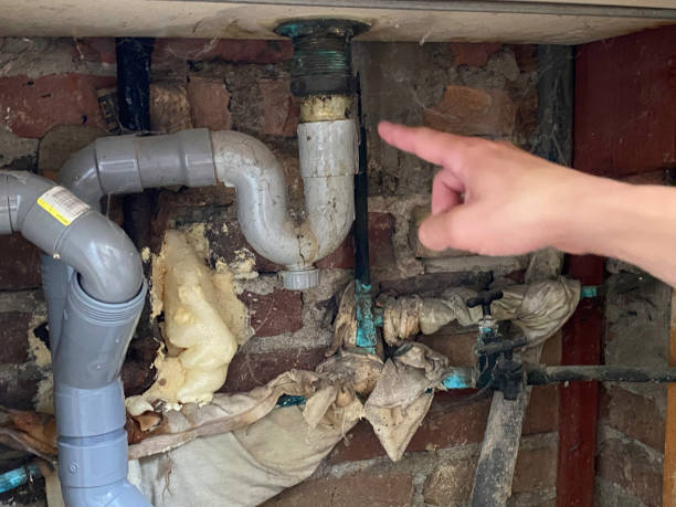 Best Sewage cleanup and water damage restoration  in Knoxvle, IL