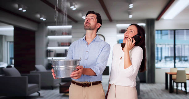 Best Flood damage cleanup  in Knoxvle, IL